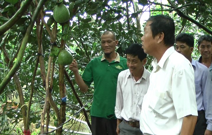 1 BD - TAP TRUNG PHAT TRIEN NONG NGHIEP NONG DAN-buoi.jpg