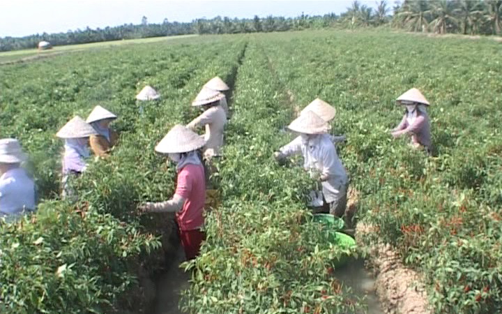 1 BD - TAP TRUNG PHAT TRIEN NONG NGHIEP NONG DAN-ot.jpg